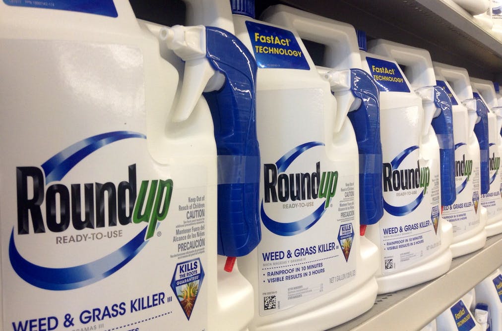 Roundup for dinner? 