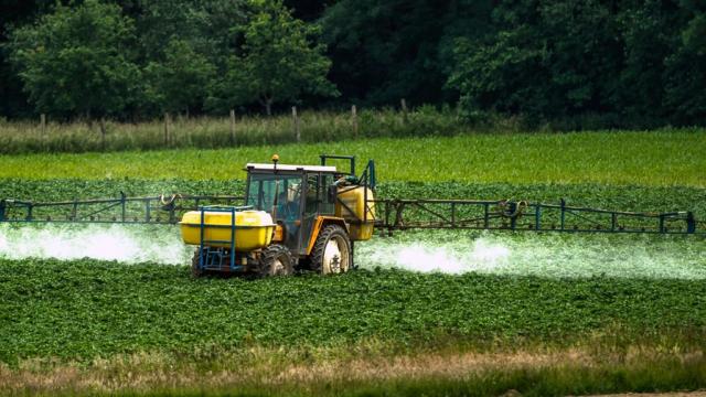 Spraying Pesticides... mmm.. yummy...