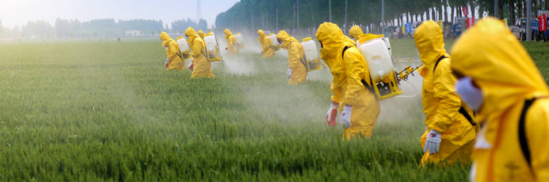 Team in HazMat Suits Spraying Pesticides... but, nothing to see here! ..nope.. just a few "HAZMAT SUITS!"